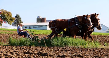 Agricultor Amish se enfrenta a multas y penas de cárcel por negarse a cumplir normativas del USDA